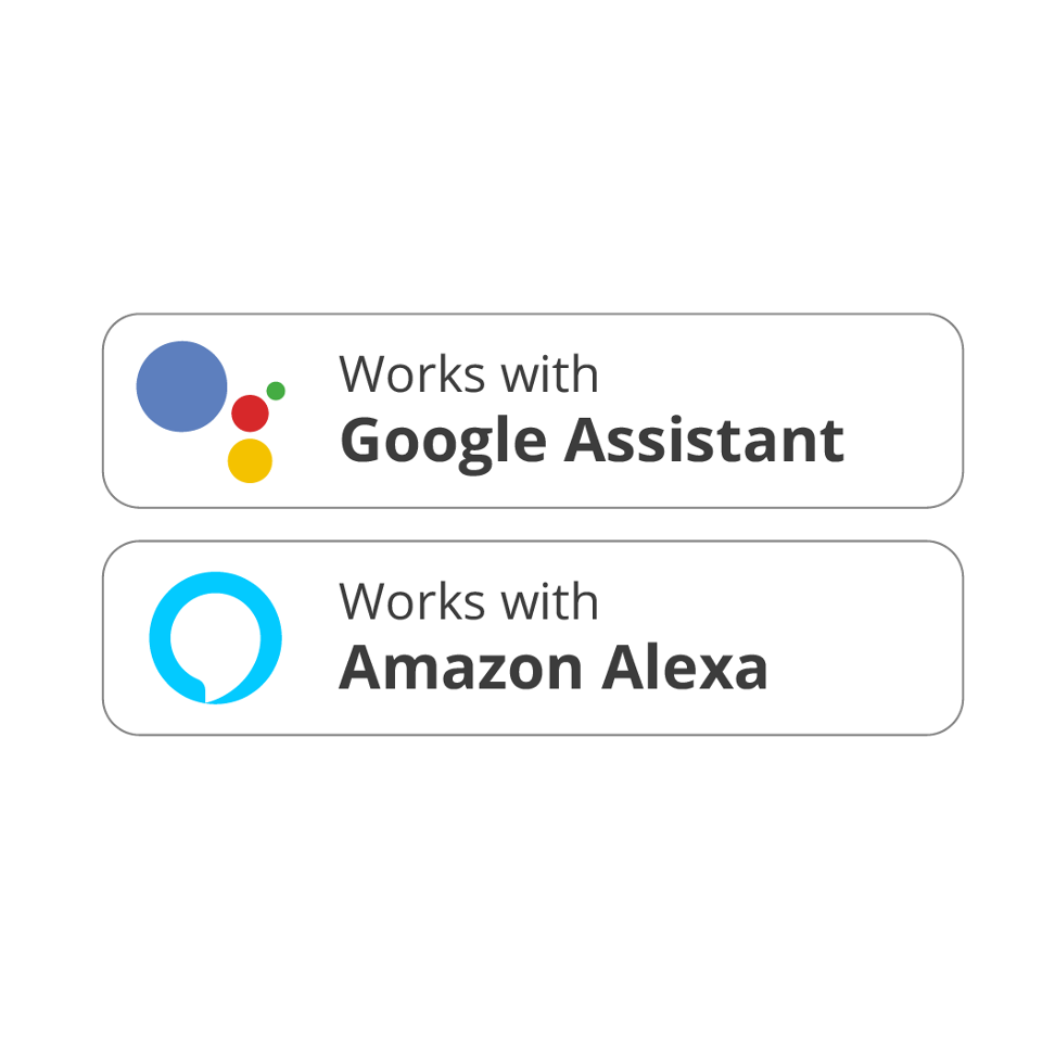 Bediening Google Assistant en Amazon Alexa